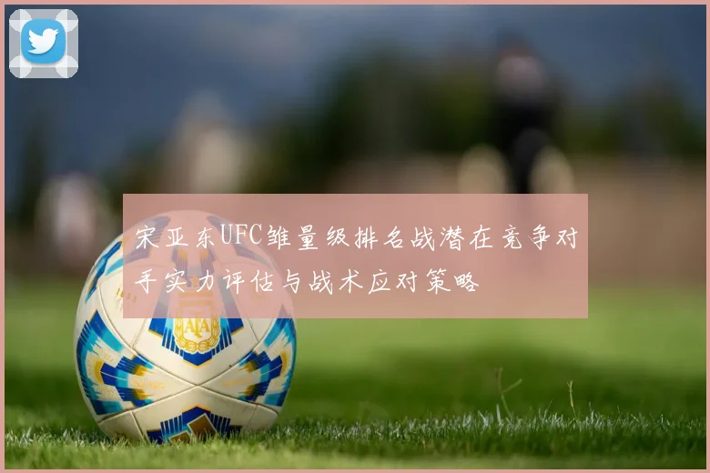 宋亚东UFC雏量级排名战潜在竞争对手实力评估与战术应对策略