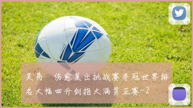 吴易昺伤愈复出挑战赛夺冠世界排名大幅回升剑指大满贯正赛